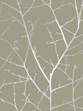 Graham & Brown Sage Boreas A4 wallpaper sample (British brand)