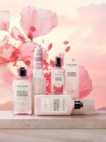 L'Occitane Cherry Blossom perfume 50ml - British product