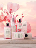 L'Occitane Fleurs de Cerisier Cherry Blossom Hand Cream 75ml, UK version