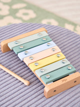 Next JoJo Maman Bébé Pastel Xylophone Toy 21 x 14 x 3 cm- Buy online at McGrocer
