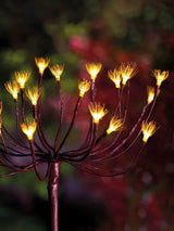 Next The Solar Centre Warm White Solar Wild Fennel Light- Buy online at McGrocer