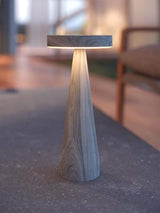 Next The Solar Centre Warm White Seattle USB Solar Table Light- Buy online at McGrocer