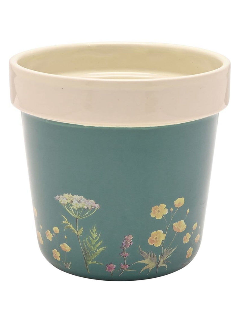Country Living planters set Highland cow wildflower 12cm (British brand)