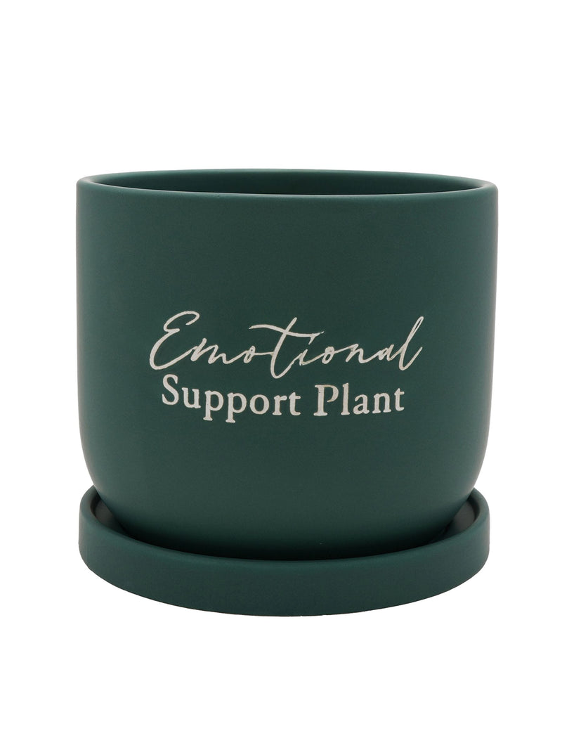 Country Living green ceramic plant pot 16cm (British brand)