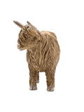 Country Living Brown Highland Cow Figurine ornament - British product