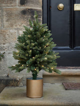 Next Lights4fun 75cm Pre Lit Outdoor Christmas Tree- Buy online at McGrocer