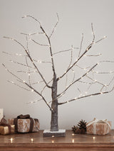 Next Lights4fun 65cm Snowy Pre Lit Battery Twig Tree- Buy online at McGrocer