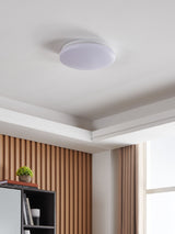 Next Eglo Approdo Steel & Plastic LED Ceiling Light- Buy online at McGrocer