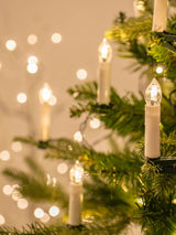 Next Lights4fun 50 LED Christmas Tree Clip-On Candle Lights- Buy online at McGrocer