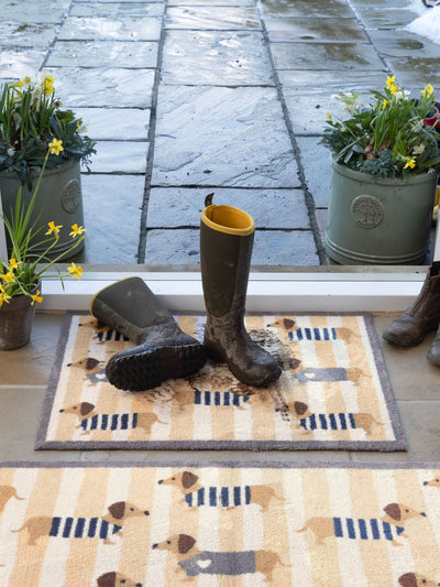 Next Hug Rug Beige Sausage Dog Chic Doormat 65cm x 85cm- Buy online at McGrocer