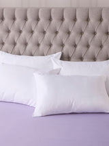 Next Downland Superbounce Pillows 4 Pack 46 x 69cm- Buy online at McGrocer