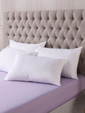 Downland Superbounce 4 Pack pillows 46x69cm (British brand)