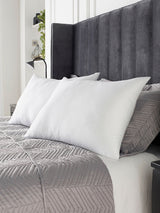 Next Downland Poly Cotton Pillow 2 Pack Pair- Buy online at McGrocer