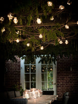 Next Garden Trading Black Festoon Lights Classic 20 Bulbs- Buy online at McGrocer