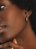D.LOUISE gold tone chubby hoop earrings, imported from the UK