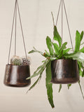 Nkuku Black Endo iron hanging planter, imported from the UK