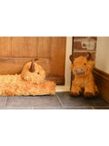 Country Living Brown Highland Cow draught excluder 78cm, UK version