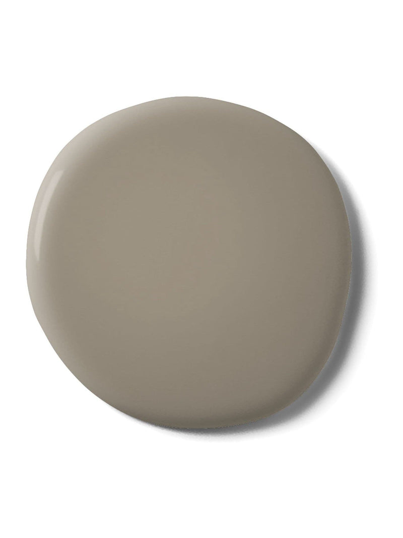 Graham & Brown Birdhouse matt emulsion paint (British brand)