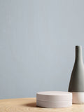 Graham & Brown Cool Britannia matte emulsion paint, imported from the UK