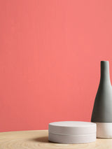 Next Graham & Brown Cheerleader Resistance Matt Emulsion Paint- Buy online at McGrocer