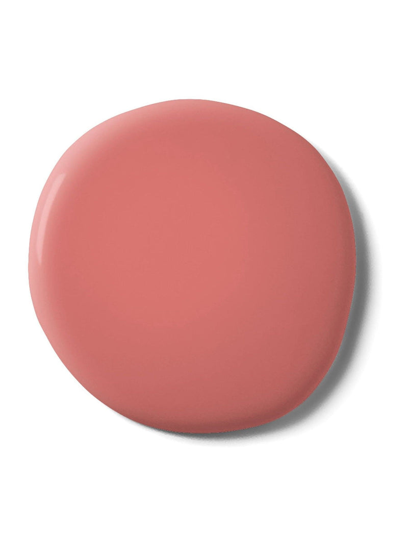 Graham & Brown Cheerleader emulsion paint, imported from the UK