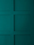 Graham & Brown Betty Resistance Matt Emulsion paint in deep green, UK version