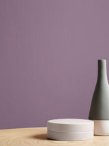 Next Graham & Brown Balloon Flower Resistance Matt Emulsion Paint- Buy online at McGrocer