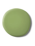 Graham & Brown Beanstalk matt emulsion paint green - British product