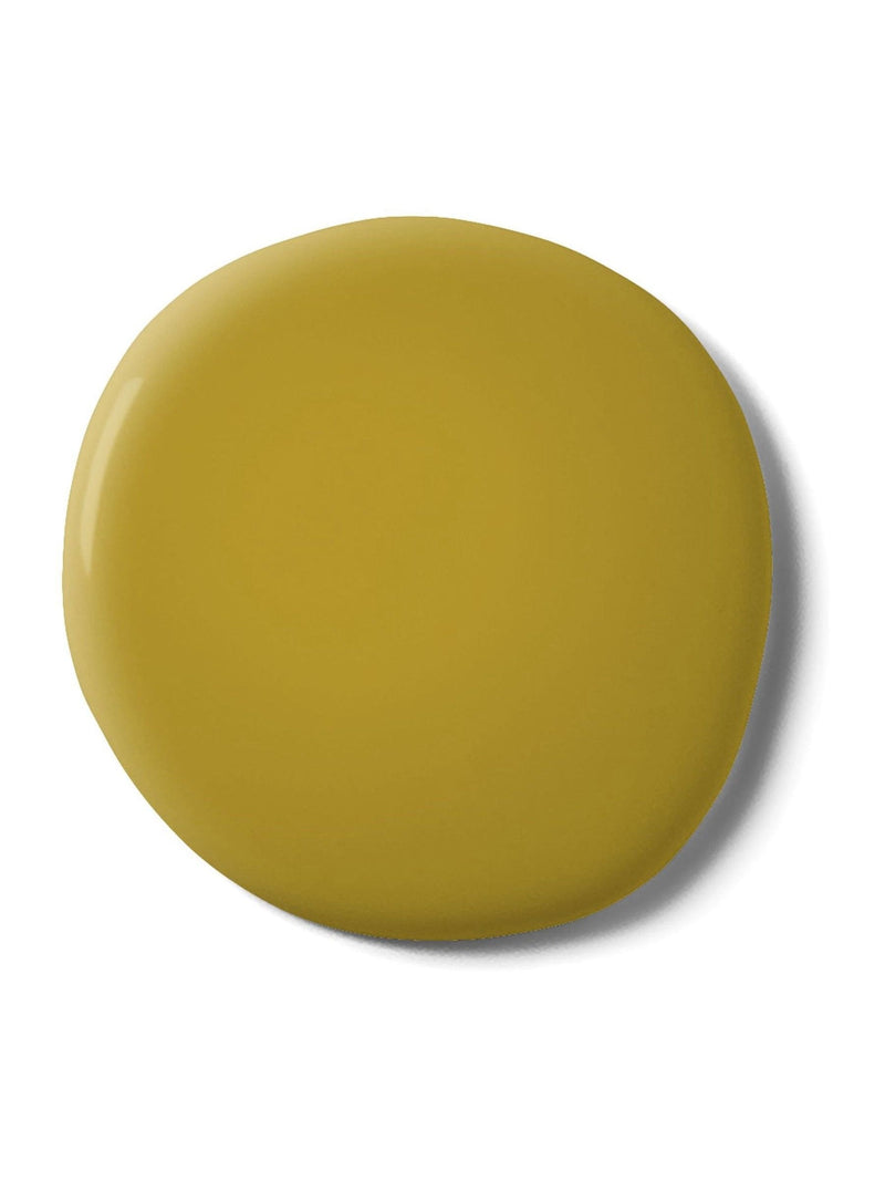 Graham & Brown Toucan Resistance matt emulsion paint, UK version