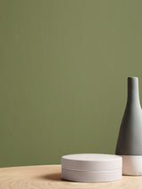 Next Graham & Brown Palm House Resistance Matt Emulsion Paint- Buy online at McGrocer