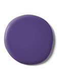 Graham & Brown Ultra purple interior eggshell paint (British brand)