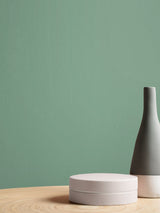 Next Graham & Brown Serene Sage Resistance Matt Emulsion Paint- Buy online at McGrocer