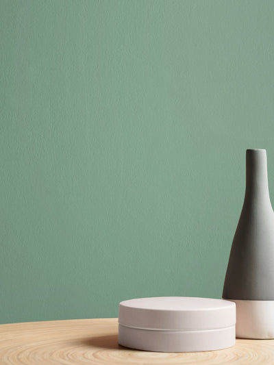 Next Graham & Brown Serene Sage Resistance Matt Emulsion Paint- Buy online at McGrocer