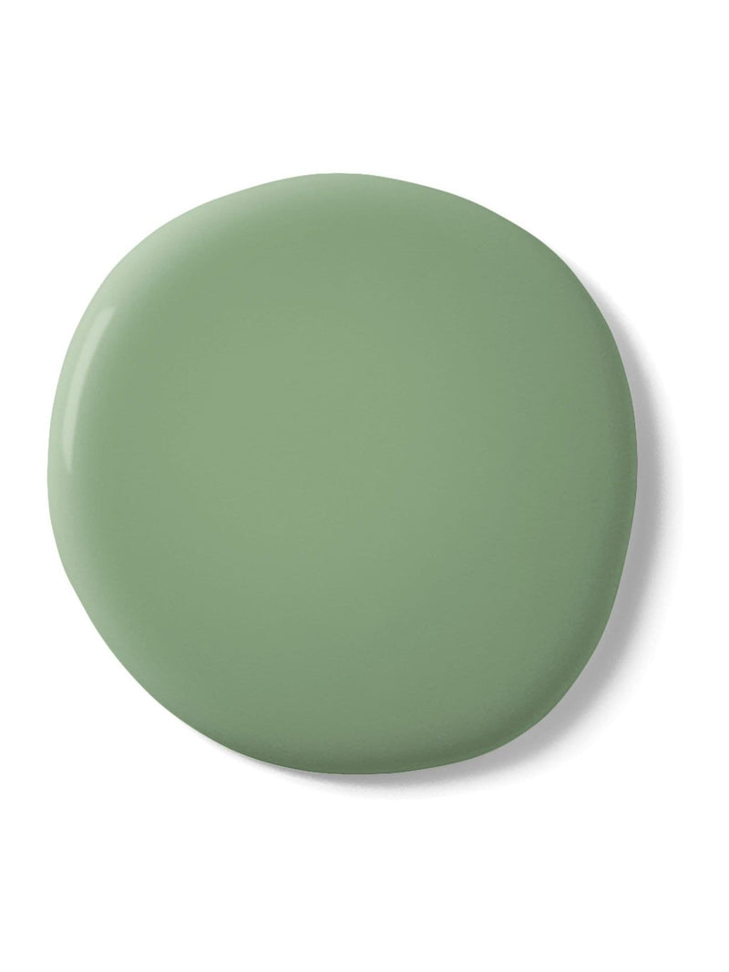 Graham & Brown Serene Sage matt emulsion paint sample, imported from the UK