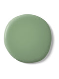 Graham & Brown Serene Sage matt emulsion paint sample, imported from the UK
