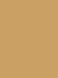Graham & Brown Turmeric Resistance Matt Emulsion Paint (British brand)