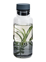 Next Crush Grind Blueberry Billund Oil & Vinegar Dispenser 260ml- Buy online at McGrocer