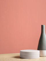 Next Graham & Brown Aloha Resistance Matt Emulsion Paint- Buy online at McGrocer