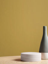 Next Graham & Brown Burnt Saffron Resistance Matt Emulsion Paint- Buy online at McGrocer