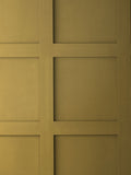 Graham & Brown Burnt Saffron paint - British product