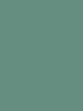 Graham & Brown Daintree Resistance Matt emulsion paint, imported from the UK