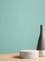 Next Graham & Brown Fiji Resistance Matt Emulsion Paint- Buy online at McGrocer