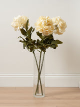 Next Scottish Everlastings Ltd 3 Pack Cream Artificial Peony Stems 73cm- Buy online at McGrocer