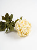 Scottish Everlastings artificial cream peony stems 3 pack - British product