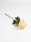 Scottish Everlastings artificial cream peony stems 3 pack - British product