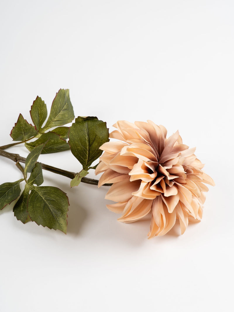 Scottish Everlastings artificial dusky pink dahlia stems (British brand)