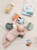 Done by Deer blue sensory cube for babies, imported from the UK