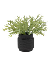 Next Gallery Home Green Faux Platycerium Ceramic Plant Pot 28cm- Buy online at McGrocer