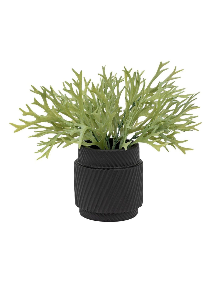 Gallery Home green faux platycerium ceramic plant pot 28cm, UK version