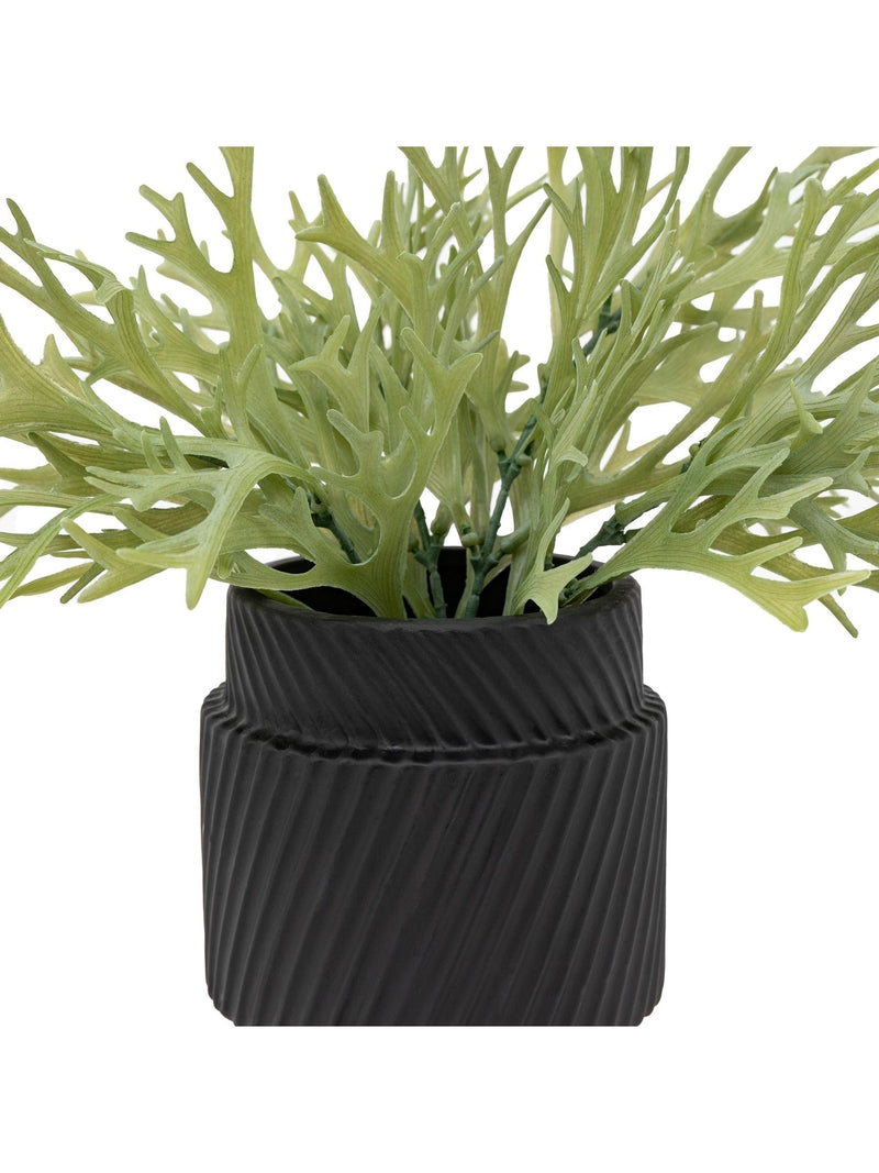 Gallery Home green faux platycerium ceramic plant pot 28cm, UK version